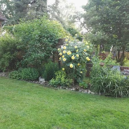 Proeve Hof Pensjonat 3*