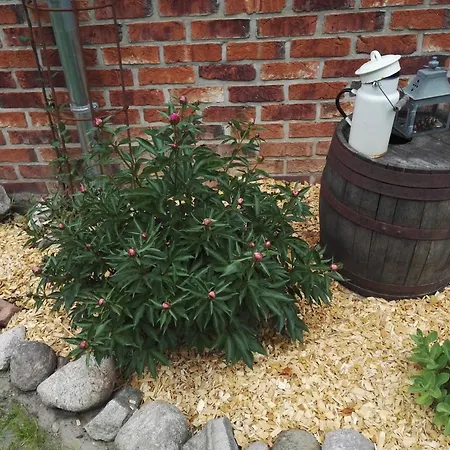 Proeve Hof Eicklingen